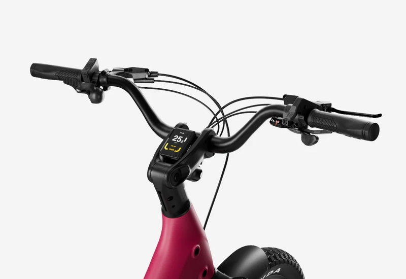 Utropia Carbon Joy in Rose Red-1