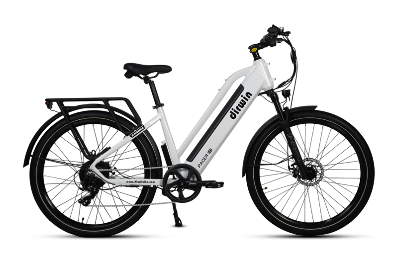 Dirwin Pacer Lite in Black-2