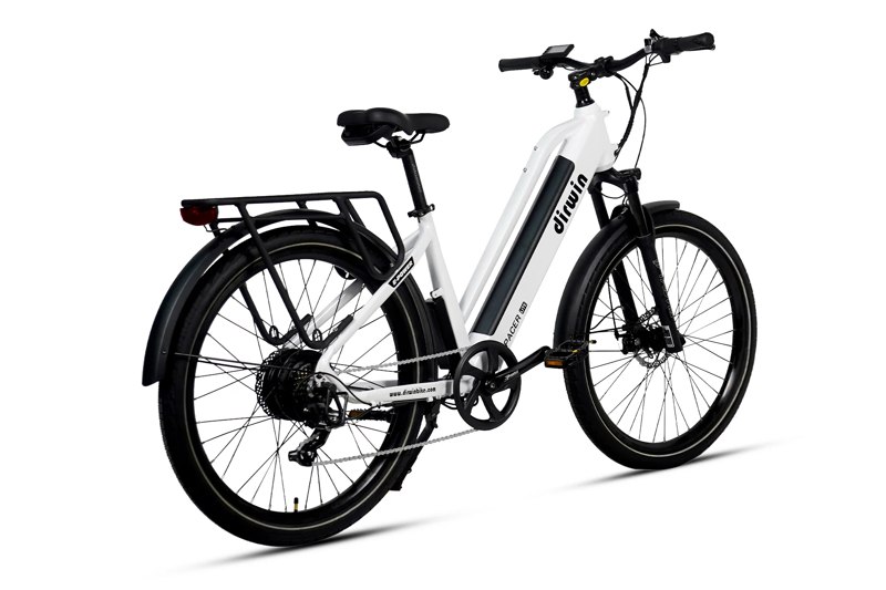 Dirwin Pacer Lite in White-1